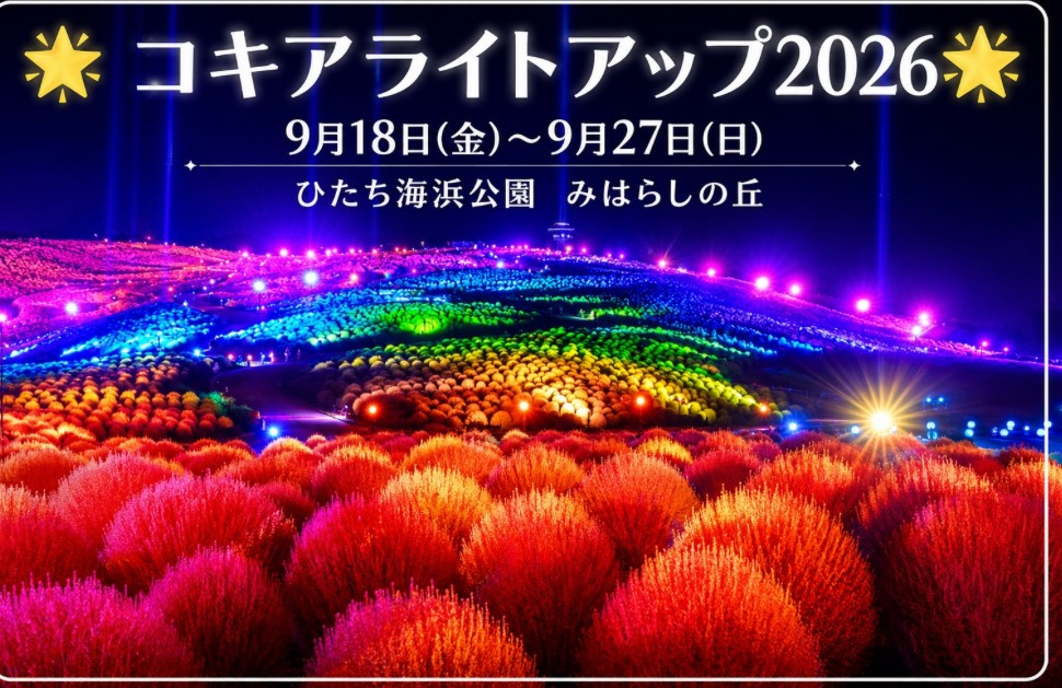 コキアライトアップ2026の画像