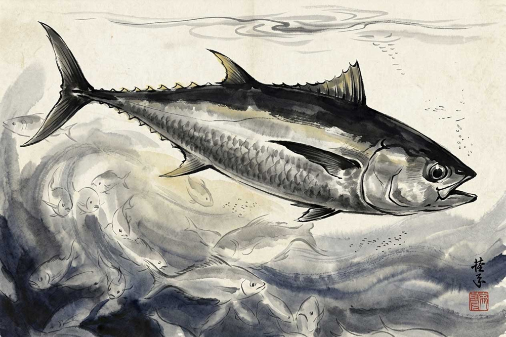 今日はマグロの日ですの画像