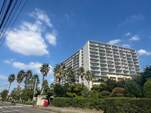 【新着物件】10階から海と花火を望む暮らし♪ペットと暮らせる3LDK!ライオンズ茅ヶ崎ザ・アイランズⅡ街区の画像