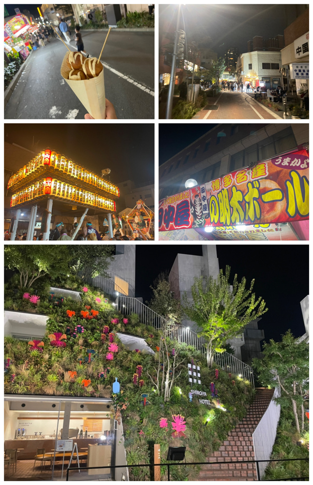 2026年10月11日（日）オープン中！（現地集合ご案内可能です！）の画像