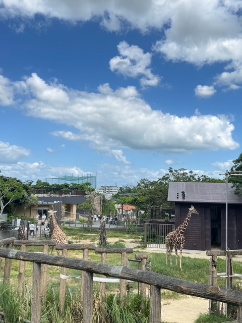 家族でこどもの国へ♪の画像