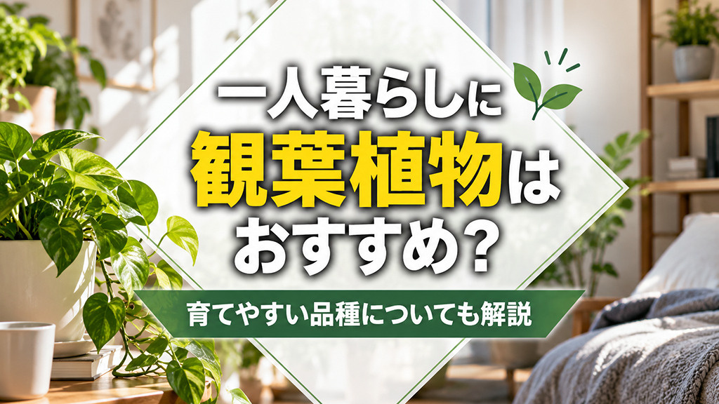 一人暮らしに観葉植物はおすすめ？育てやすい品種についても解説の画像