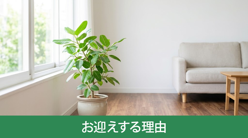 1人暮らしに観葉植物をお迎えする理由