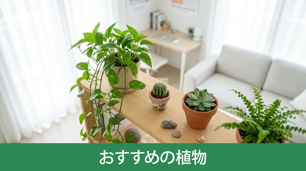 1人暮らしにおすすめの植物