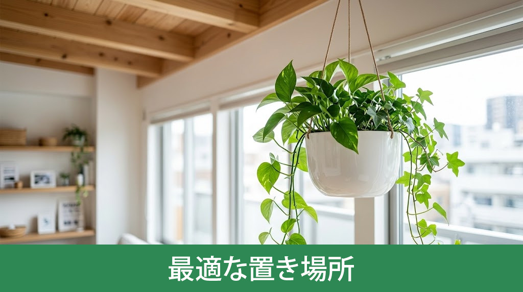 限られた空間を活用する最適な置き場所