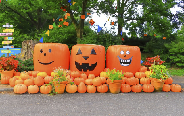 日本のハロウィン――海外の行事が日本で広まった理由と独自の楽しみ方の画像