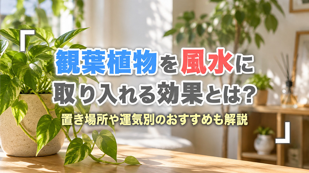 観葉植物を風水に取り入れる効果とは？置き場所や運気別のおすすめも解説の画像