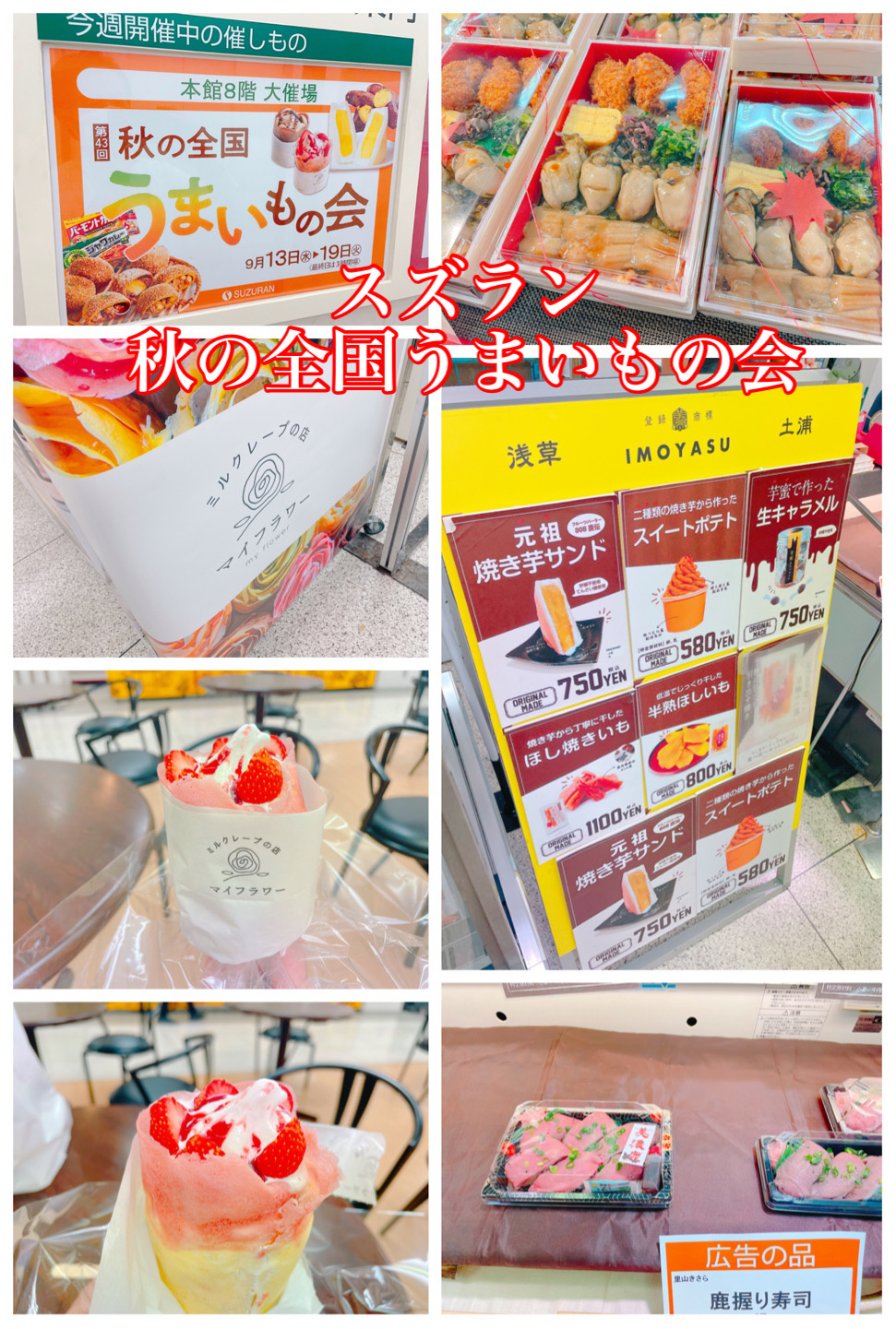 2026年10月15日（木曜）オープン中！（現地集合ご案内可能です！）の画像