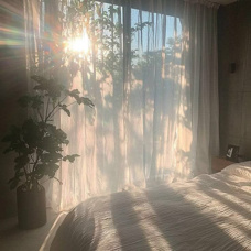 東向きと西向きどちらの部屋がいい!?選び方や特徴を解説の画像