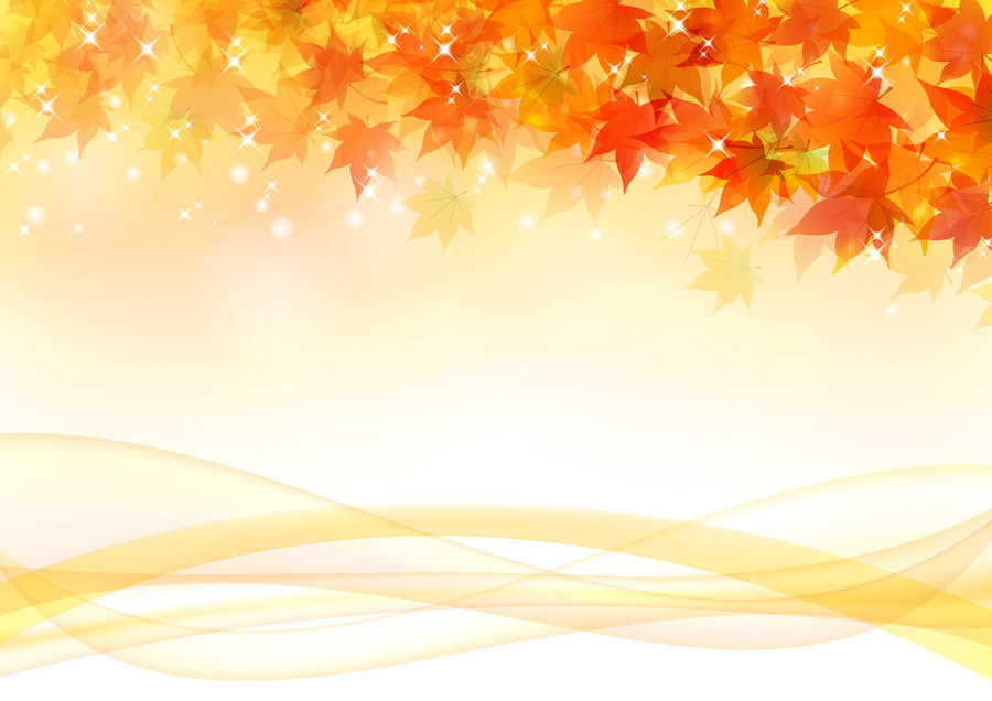 紅葉の時期到来か！の画像