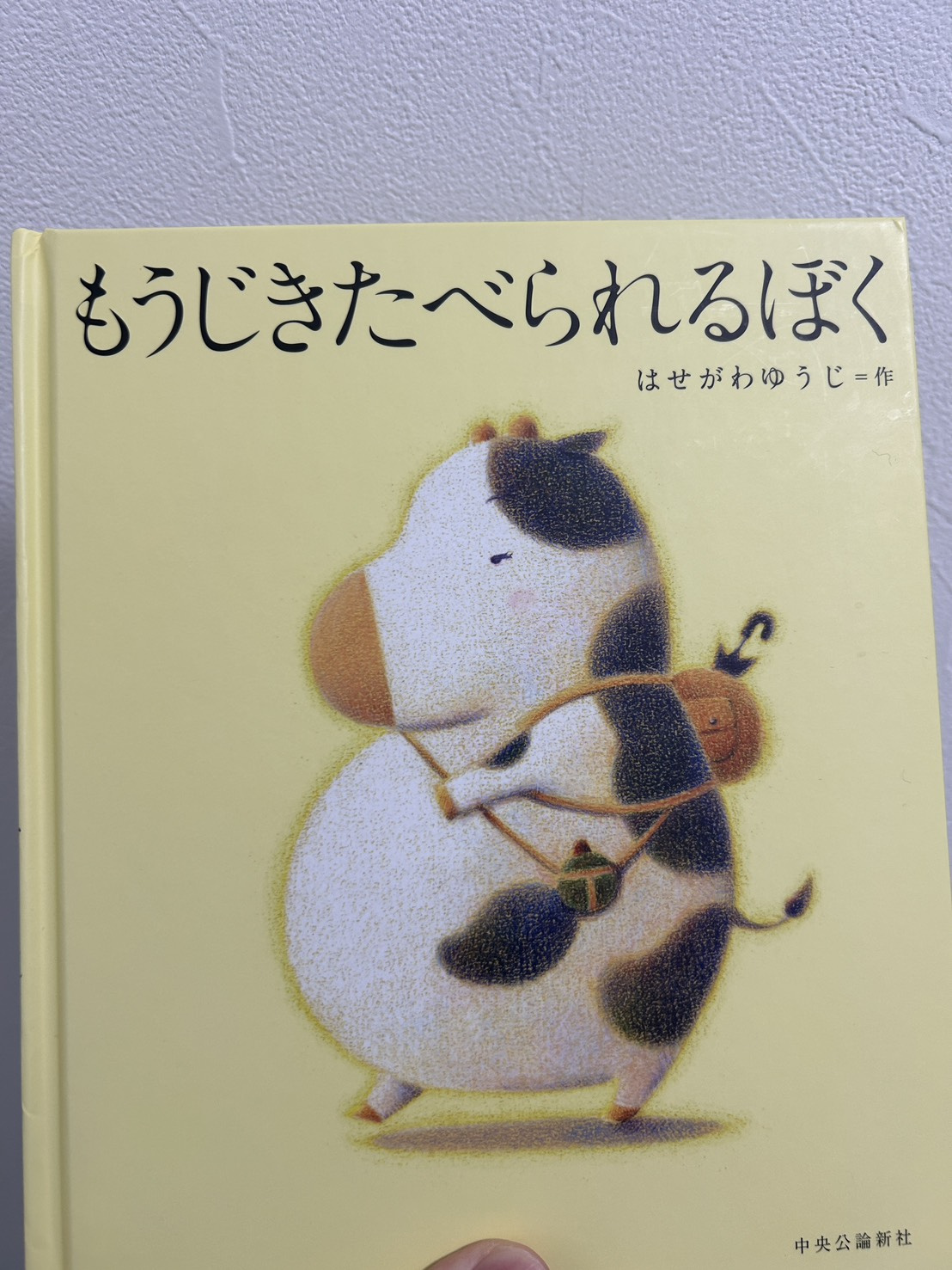 今日の一日の画像