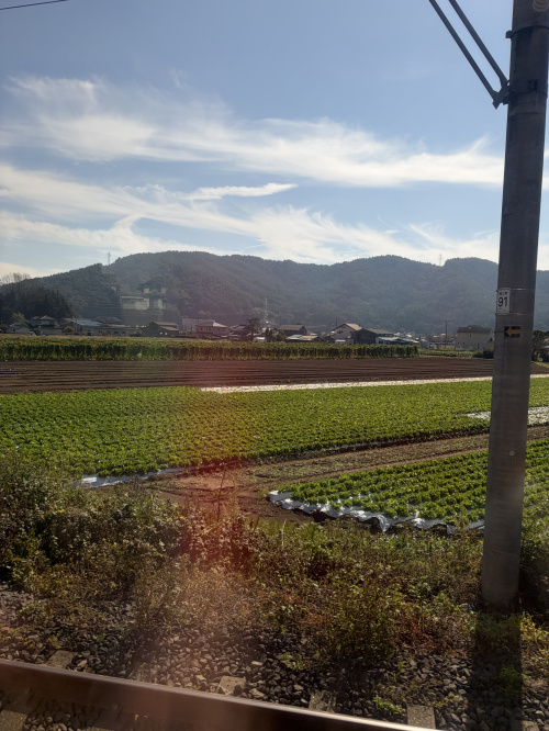 ご縁の画像