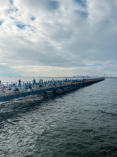 久しぶりの海釣り！の画像