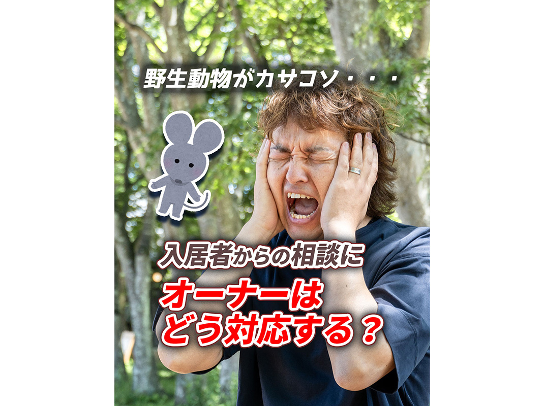 【軽井沢の賃貸経営】野生動物がカサコソ……入居者からの相談にオーナーはどう対応する?〜賃貸オーナー様へ〜の画像