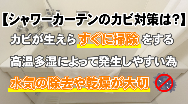 【シャワーカーテンのカビ対策は？】掃除前後の対策や掃除方法をご紹介の画像