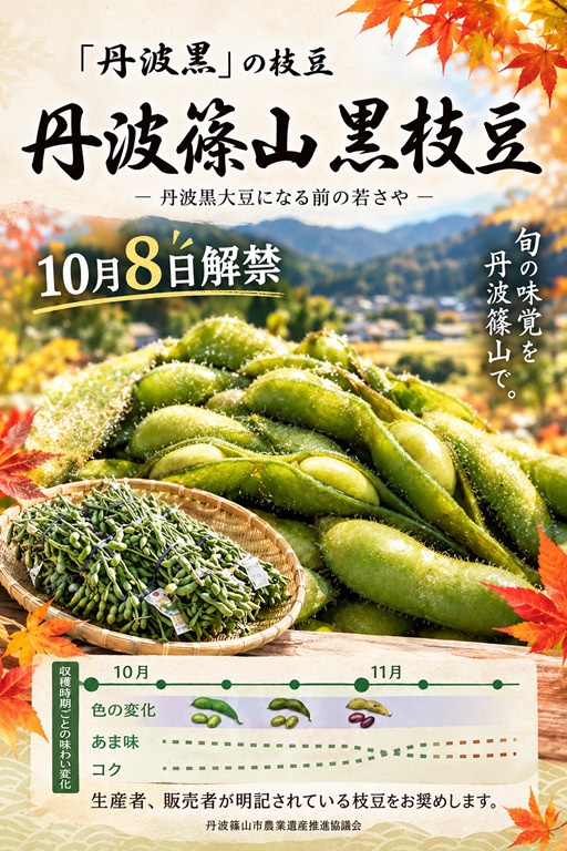 丹波篠山の画像
