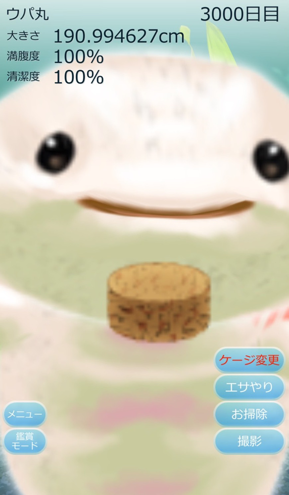 ウパ丸　成長期の画像