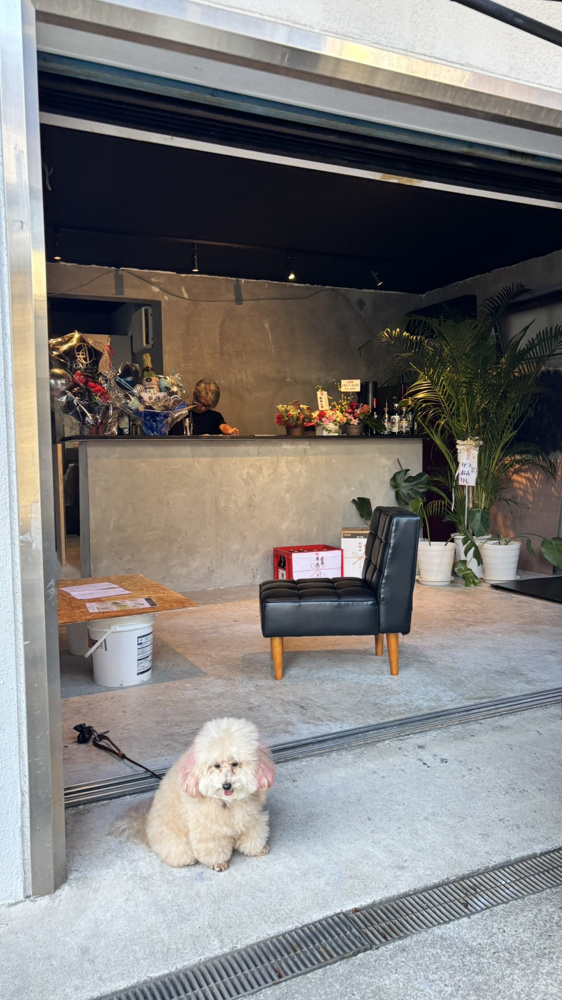 新しくできたお店の画像