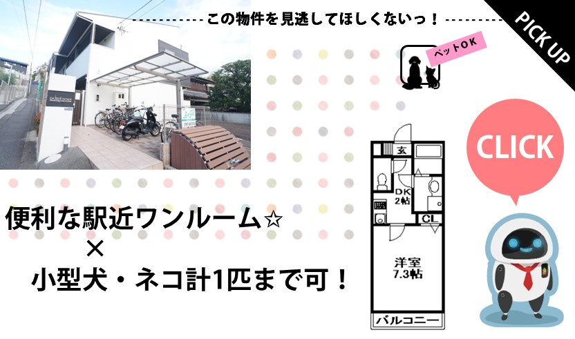 ガゼルノア宝塚清の画像