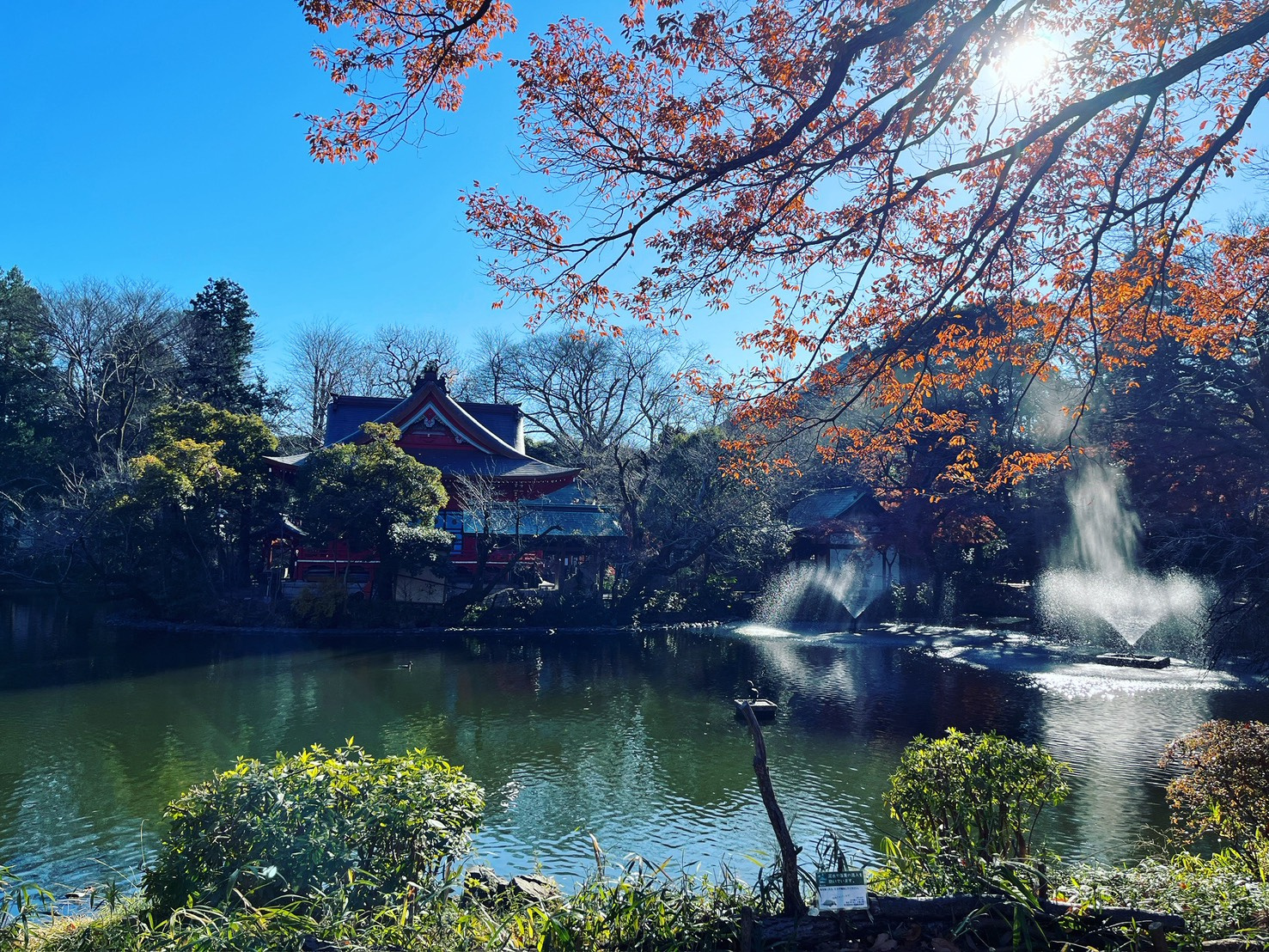 吉祥寺でまったり♪の画像