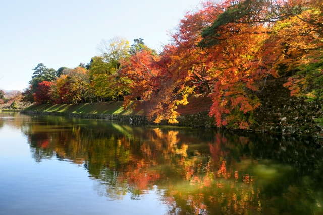 日本の紅葉狩り――なぜ日本人は秋の紅葉を楽しむの？の画像
