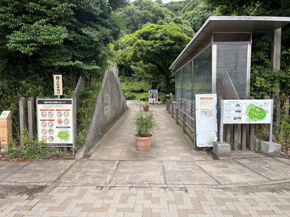 マッキー休日日記④の画像