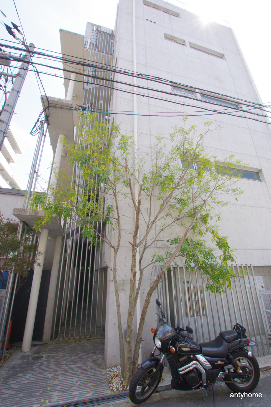 仲介手数料無料