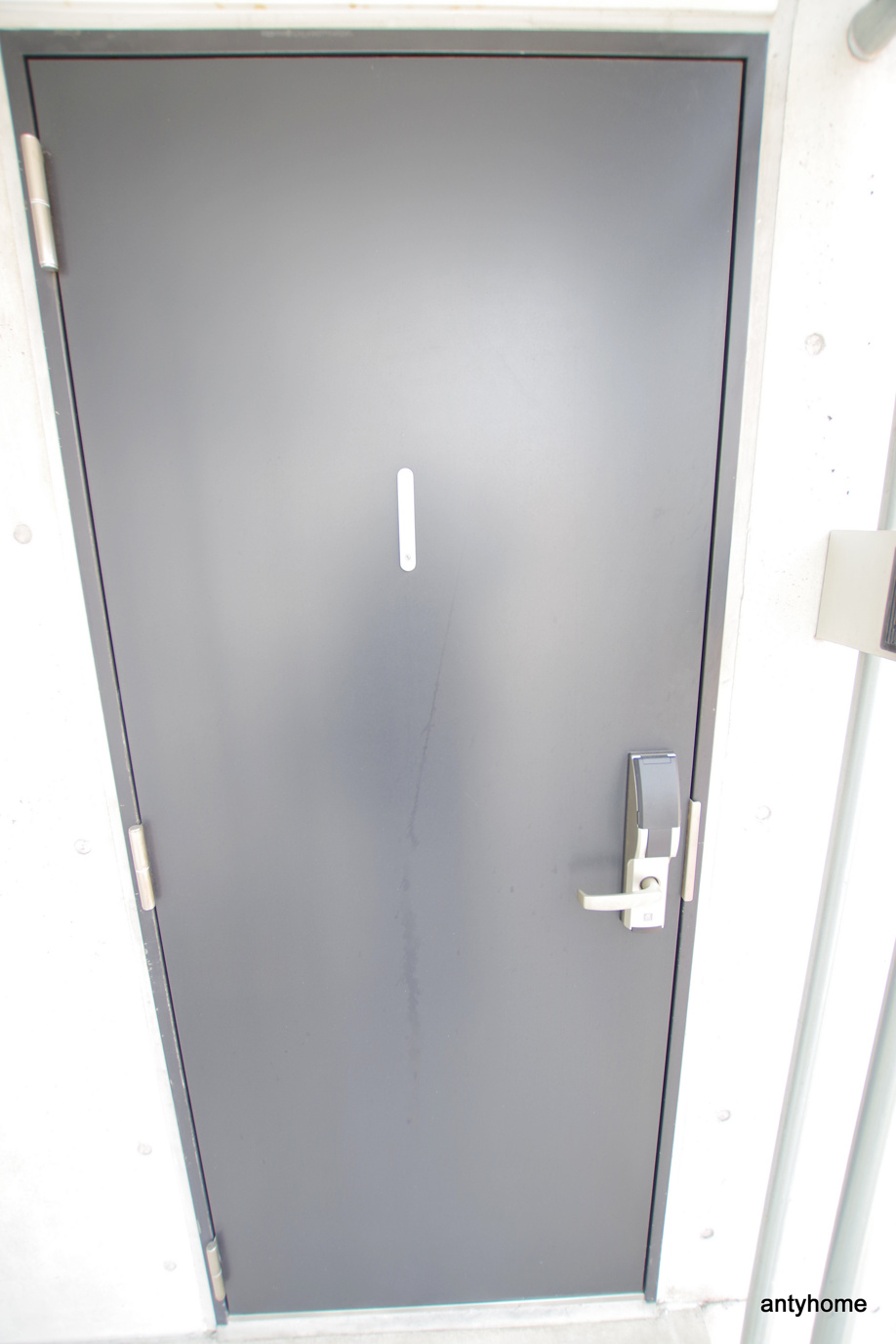 仲介手数料無料