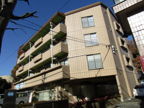 カーサシンエイ外観