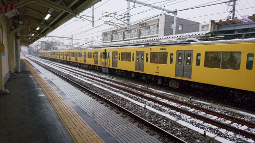 朝の雪