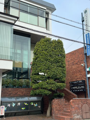 ジェイルス不動産