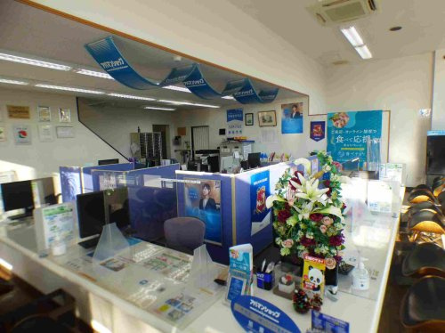 今治店