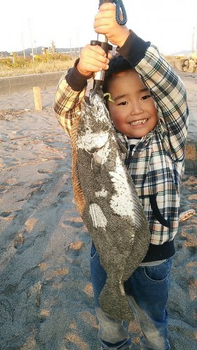 齊藤不動産管理事務所の画像