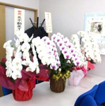 会社画像