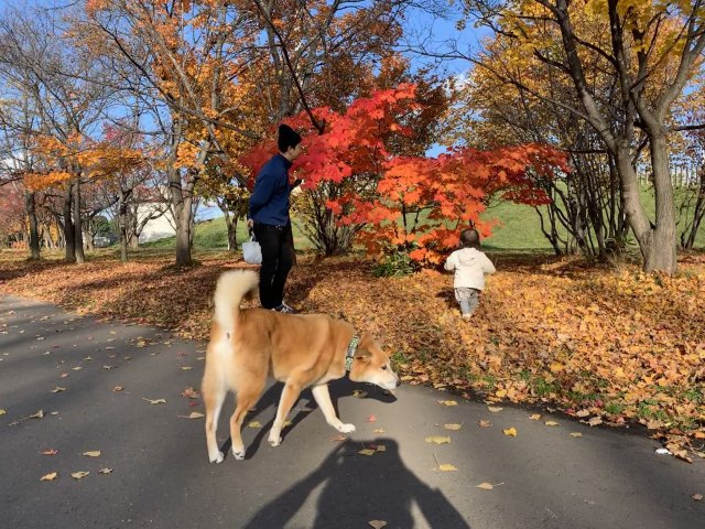 秋山様の画像