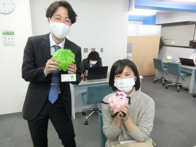 2020年11月27日の画像