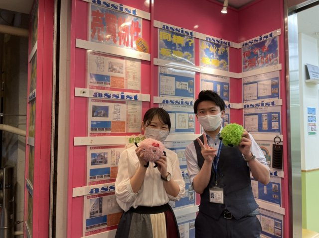 せなの画像