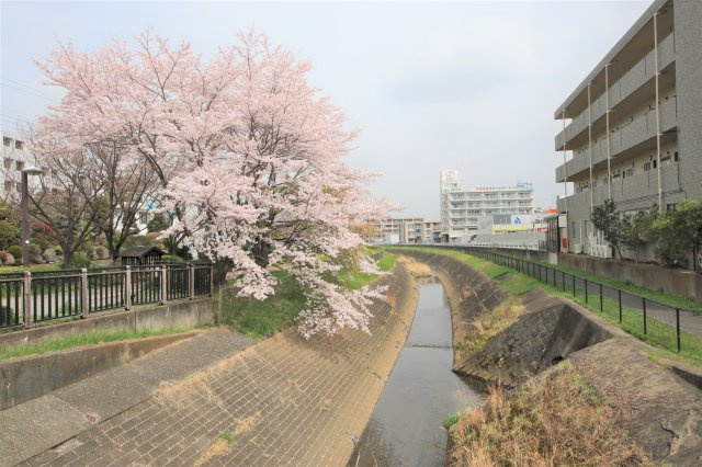 H様の画像