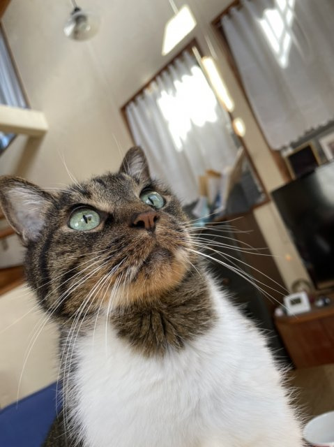 Y・ Sの画像