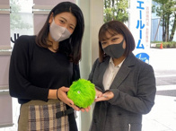 2021年11月13日の画像