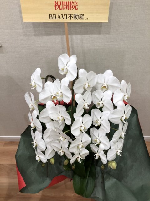 スリーアイ薬局弘明寺店様の画像