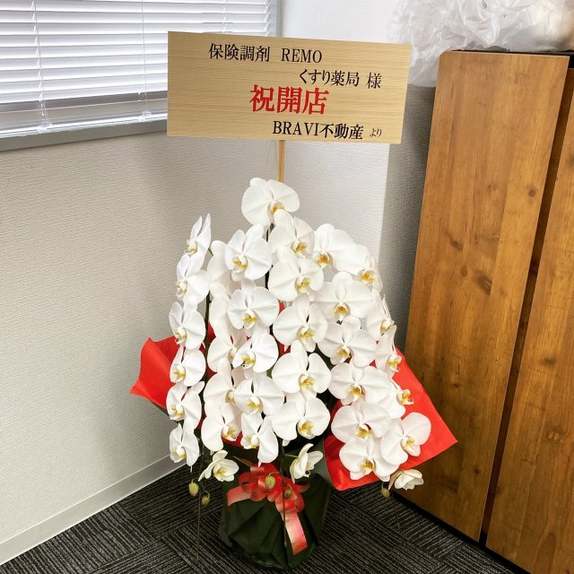 保険調剤REMOくすり薬局様の画像