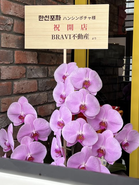 ハンシンポチャ道頓堀店様の画像