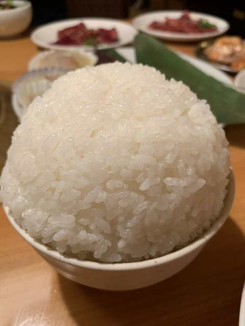 Y・ Nの画像