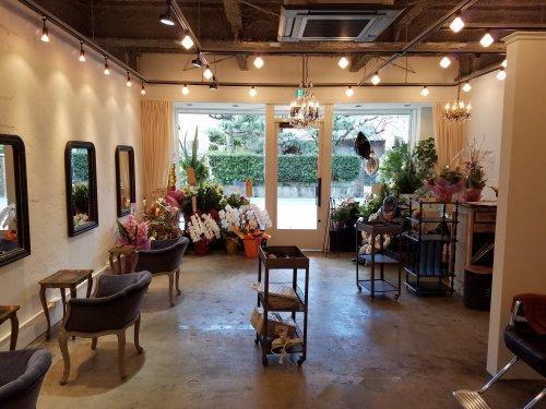 Linda（リンダ）様の画像