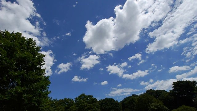 N.O様の画像