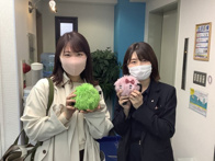 2022年11月11日の画像