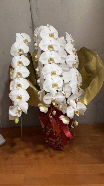 WHITENINGSHOP池田店（ホワイトニングショップ池田店）様の画像