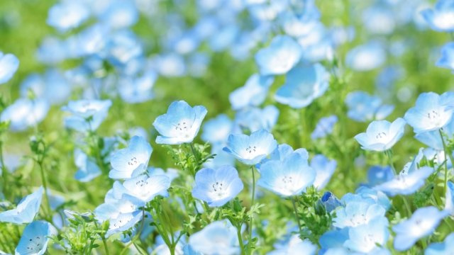 2023/3/21　Y・Y　様の画像