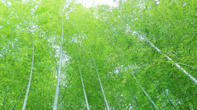 2023/5/3　H・J　様の画像